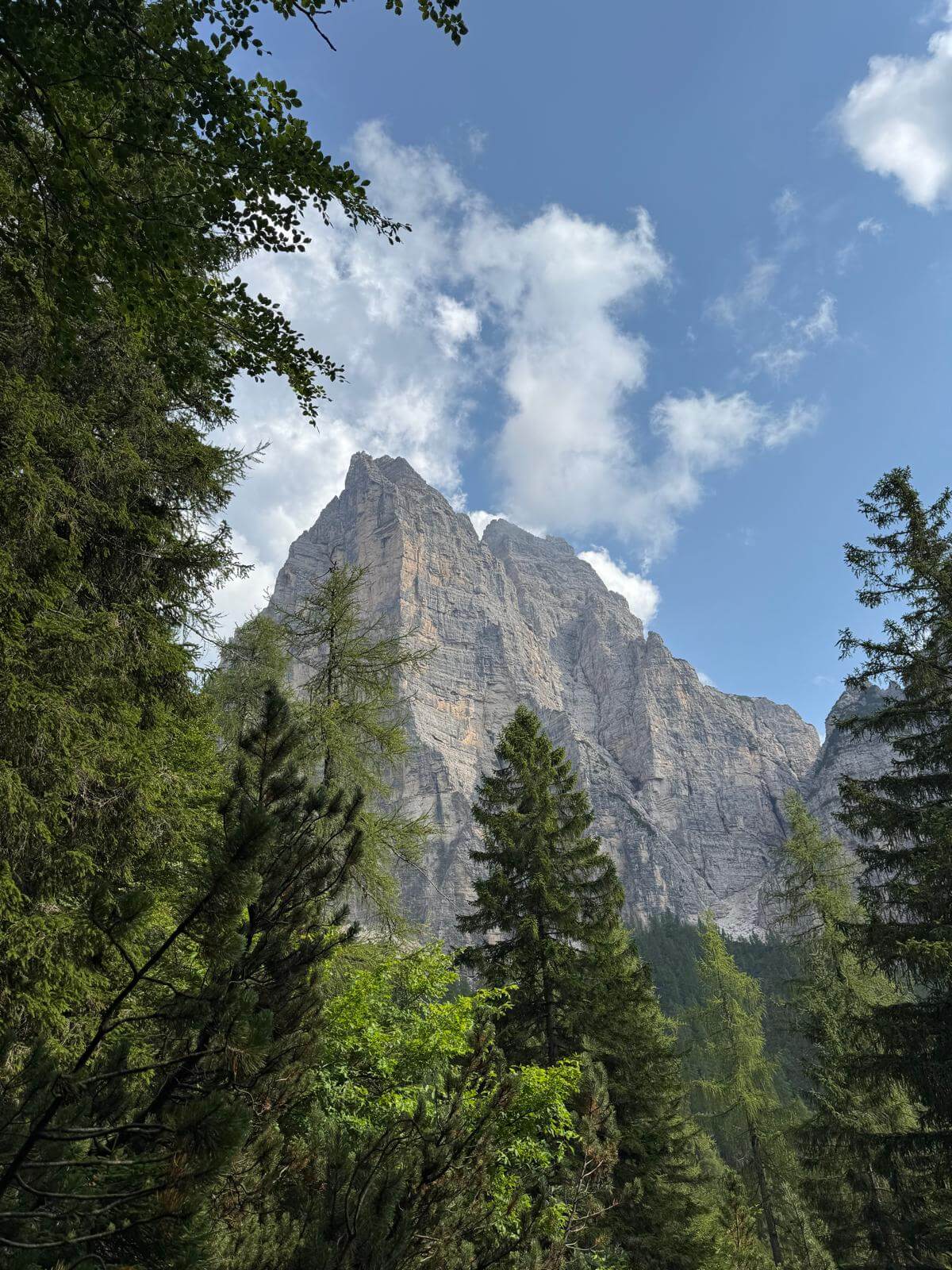 Dal sentiero nel bosco si staglia alto il Sasso di Bosconero