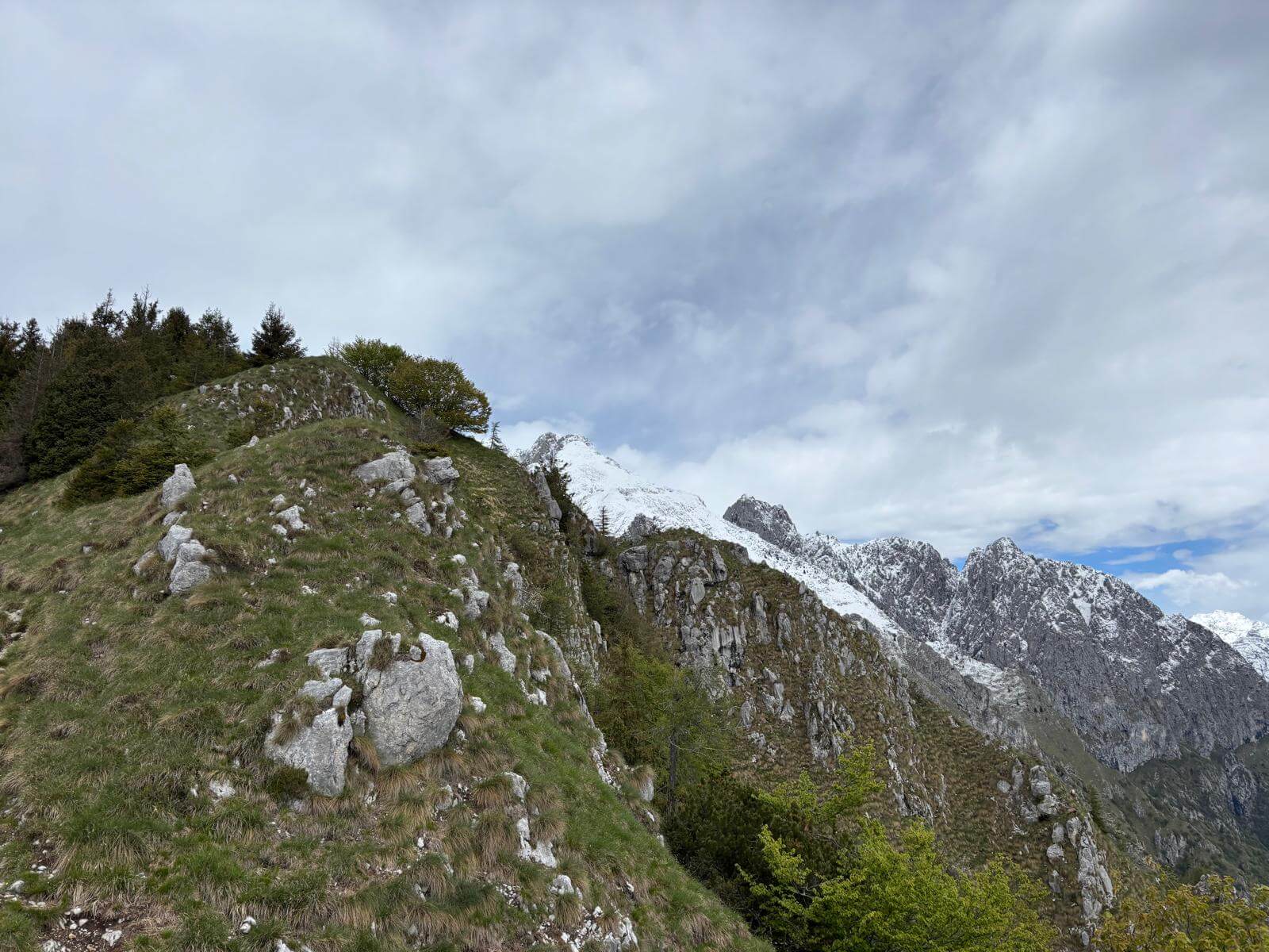 Tratto di sentiero all'aperto verso Cima Gulter 16.05.26