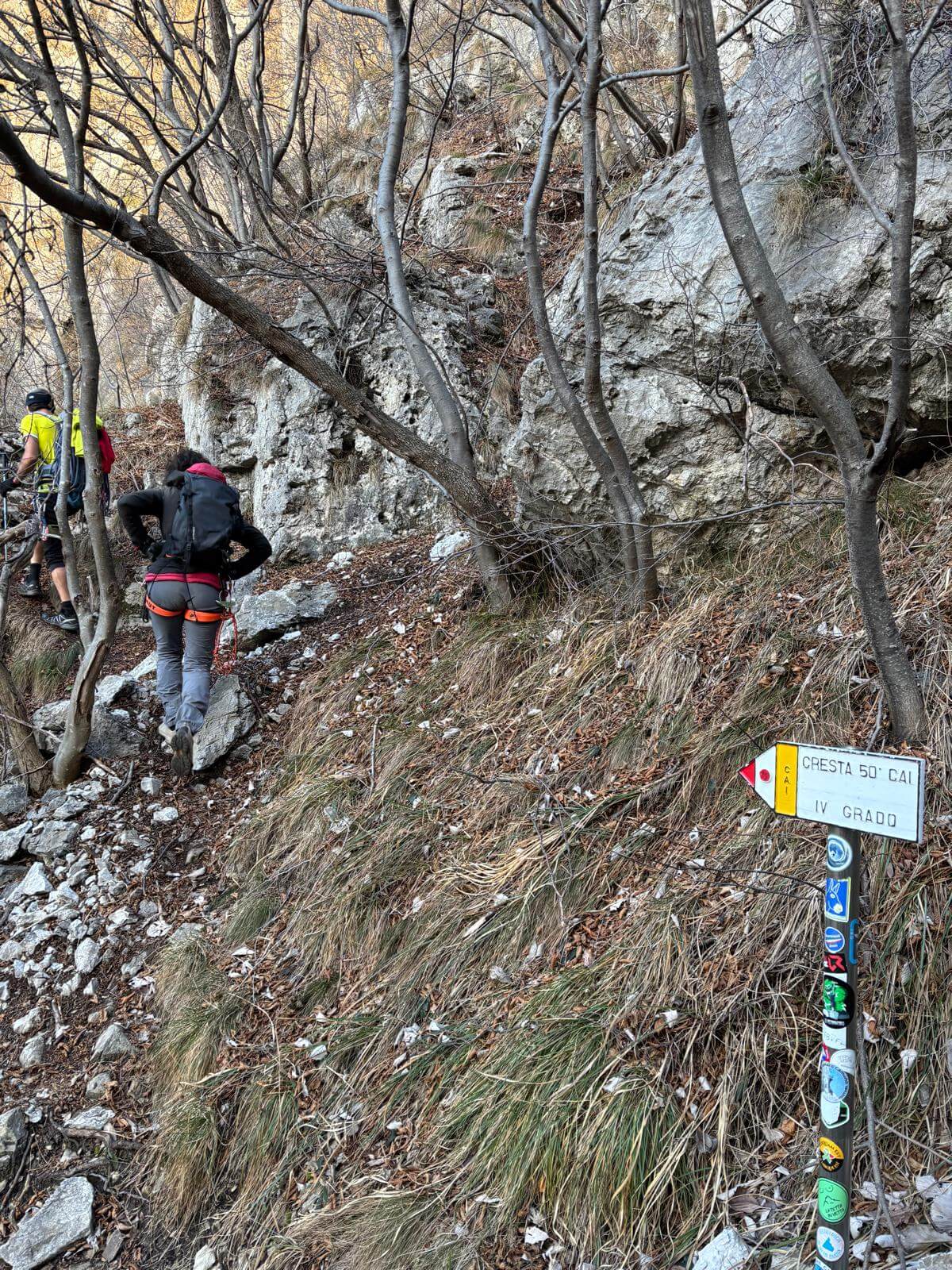 Quasi all'attacco della cresta 06.01.26 Quasi all'attacco della cresta 06.01.26