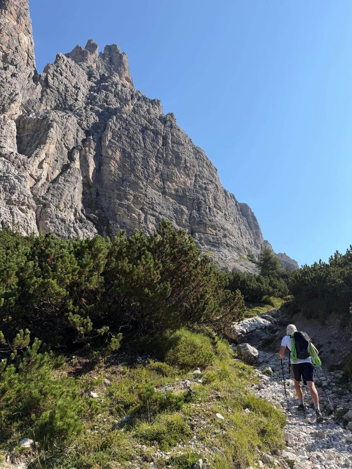 Sentiero di salita verso la Forcella Scodavacca 16.08.26 Sentiero di salita verso la Forcella Scodavacca 16.08.26