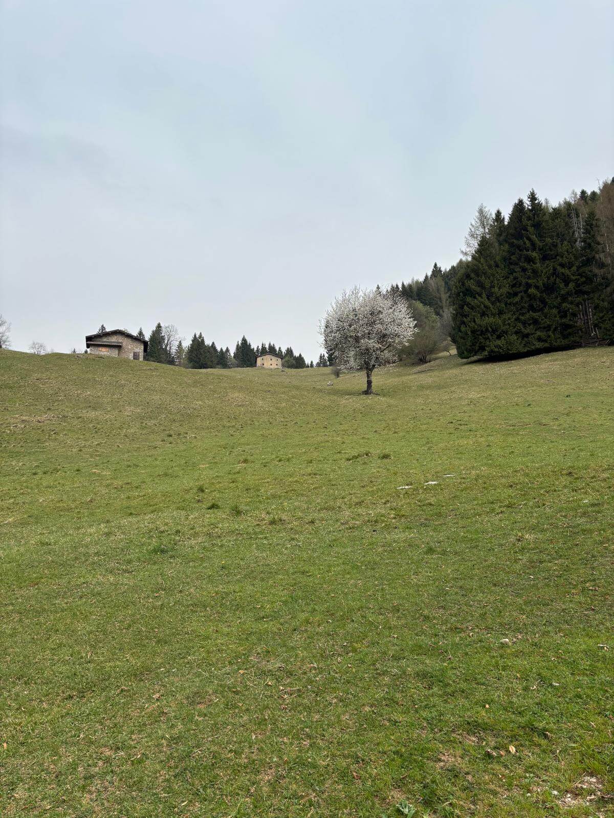 Prati di Pegherolo 12.04.26 Prati di Pegherolo 12.04.26