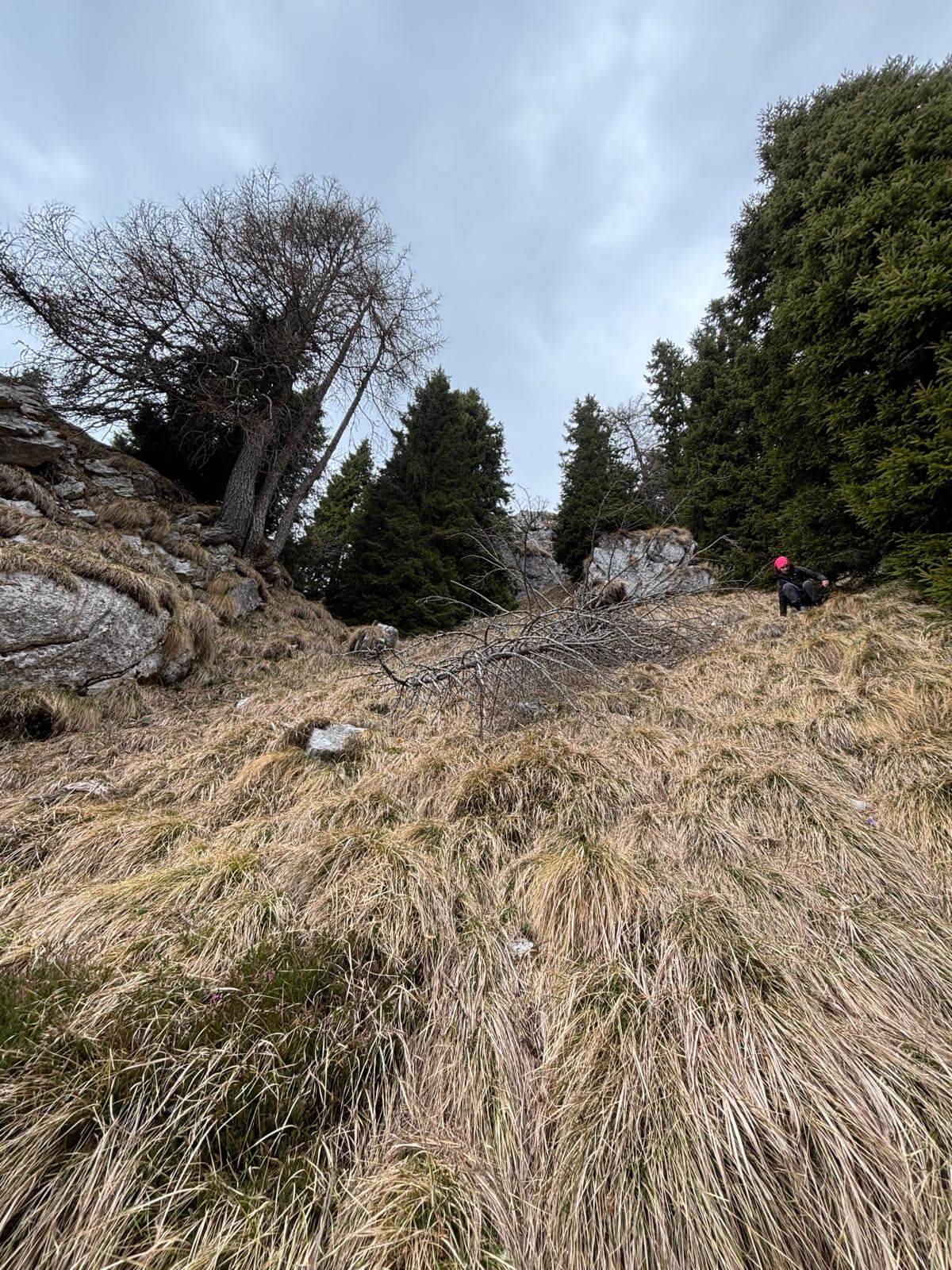 Scendiamo di nuovo verso il colletto cercando vie di discesa non rocciose. Ci ritroviamo su ripida erba 12.04.26 Scendiamo di nuovo verso il colletto cercando vie di discesa non rocciose. Ci ritroviamo su ripida erba 12.04.26
