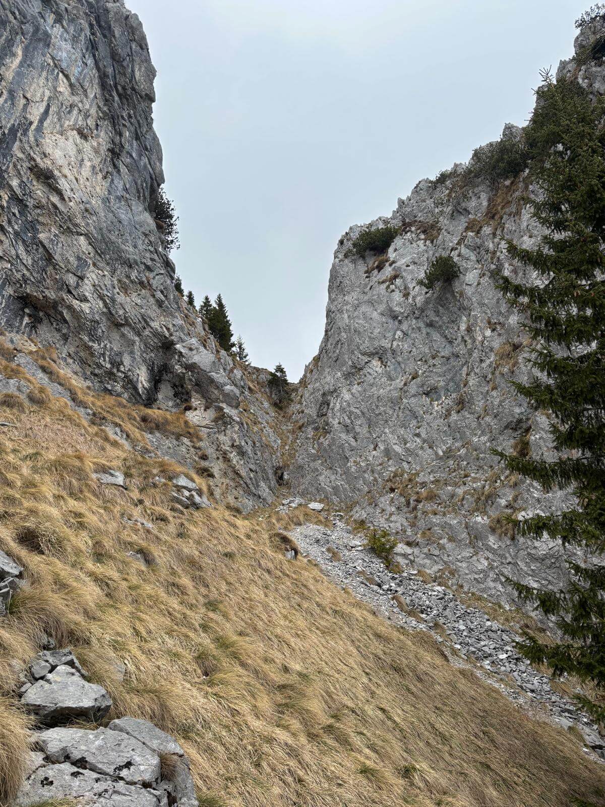 Sulla nostra destra appaiono canalini di roccette e erba ma noi continuiamo a traversare verso sinistra 12.04.26 Sulla nostra destra appaiono canalini di roccette e erba ma noi continuiamo a traversare verso sinistra 12.04.26