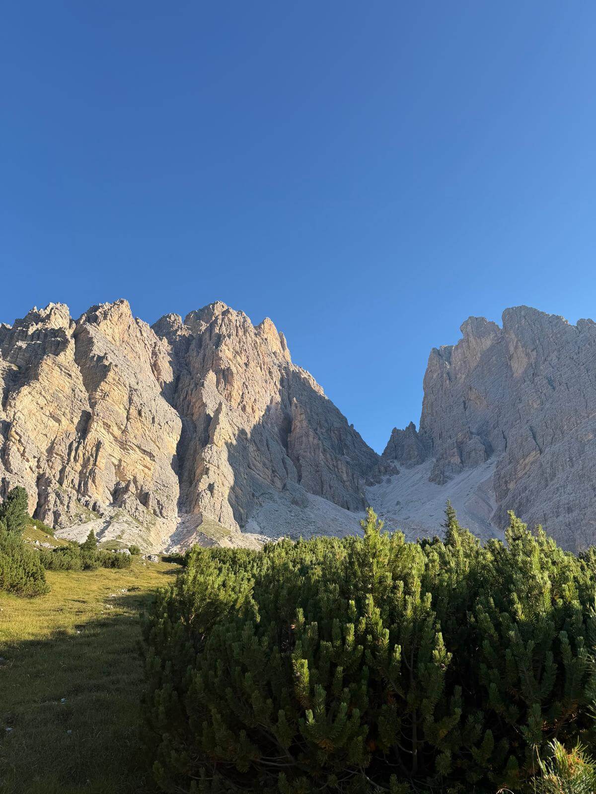 Usciamo dai mughi e vediamo subito il Passo Cristallo da raggiungere 15.08.26 Usciamo dai mughi e vediamo subito il Passo Cristallo da raggiungere 15.08.26
