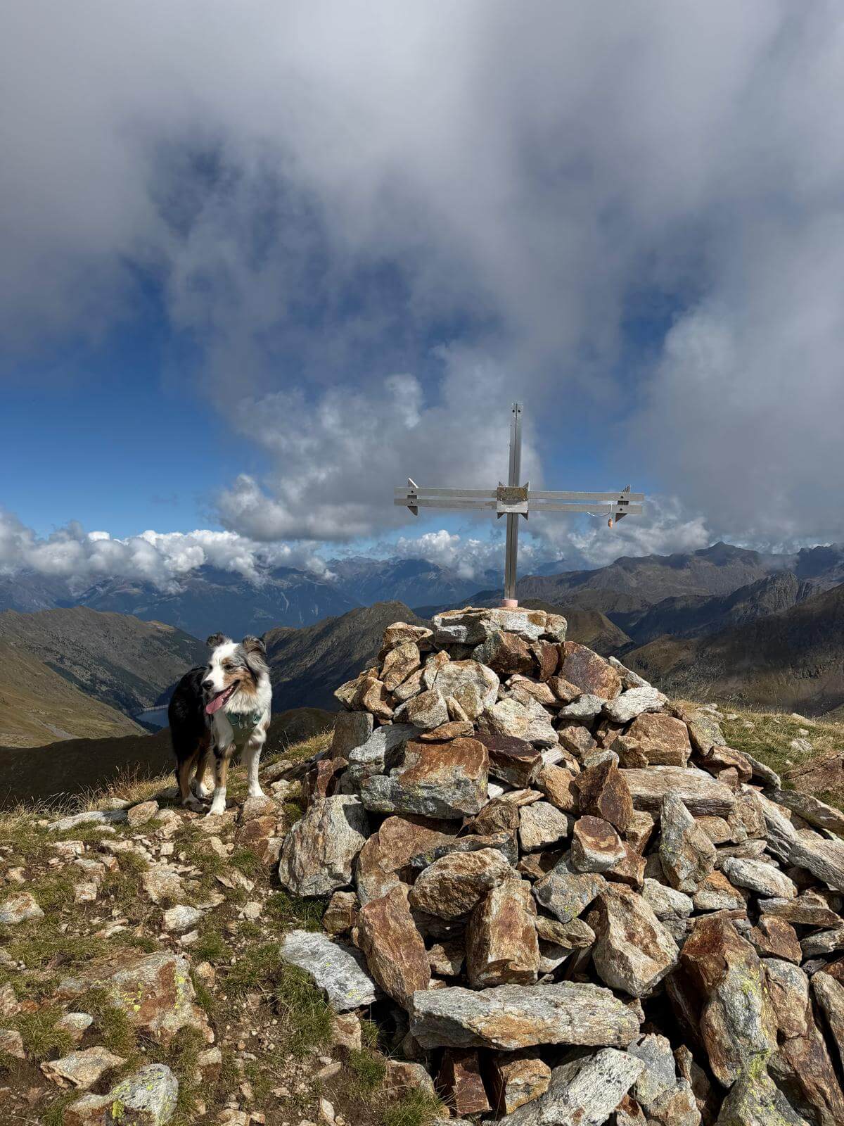 Pes Gerna, Monte Masoni, Cima di Venina, Rif. Longo, Passo Selletta, Rif. Calvi da Carona