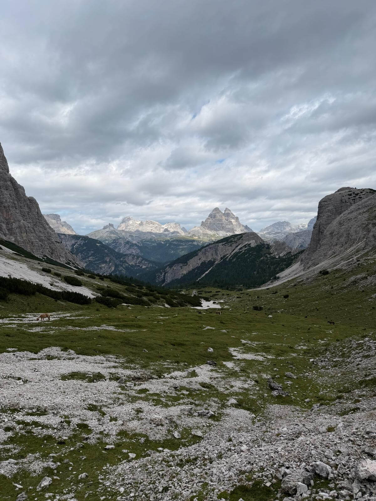 Tornati alla Forcella Popena, una sguardo alla verdeggiante Val Popena 18.06.26 Tornati alla Forcella Popena, una sguardo alla verdeggiante Val Popena 18.06.26