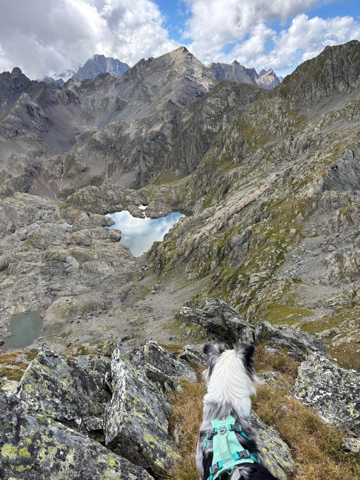 Schiena di Cavrel, Cima del Bondone e Cime di Lago Gelt da Valbondione