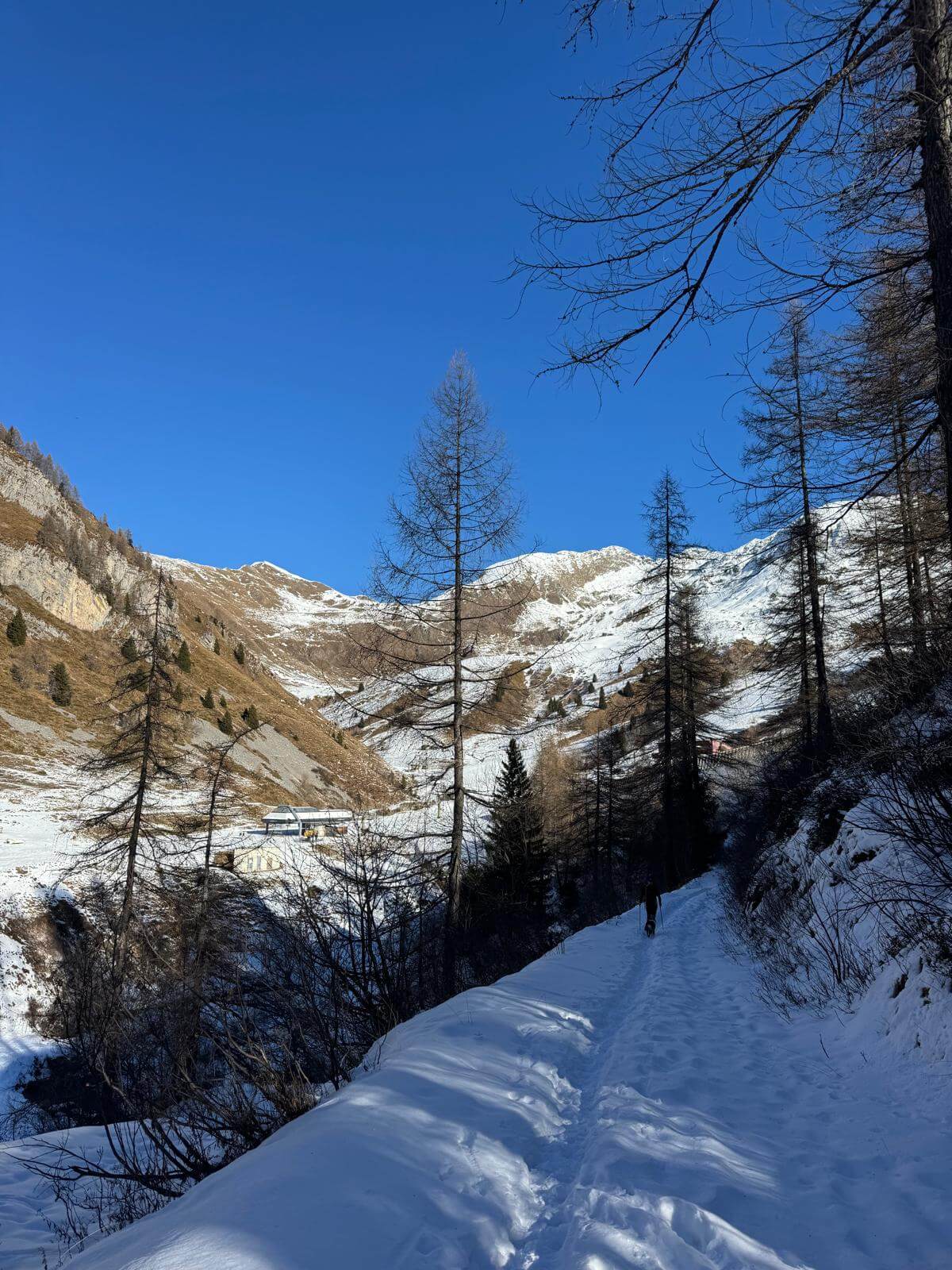 Ultimo pezzetto in piano prima di arrivare al Terre Rosse 28.12.25